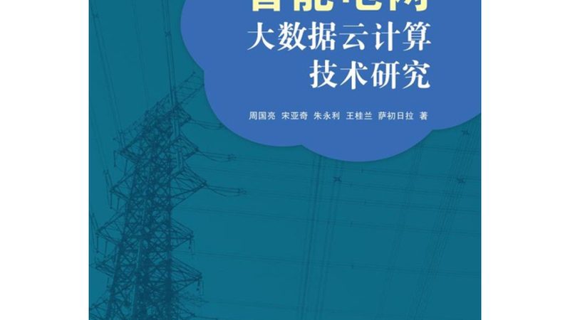 作为数据服务公司，技术实力是基础。加盟者需要具备以下条件：
